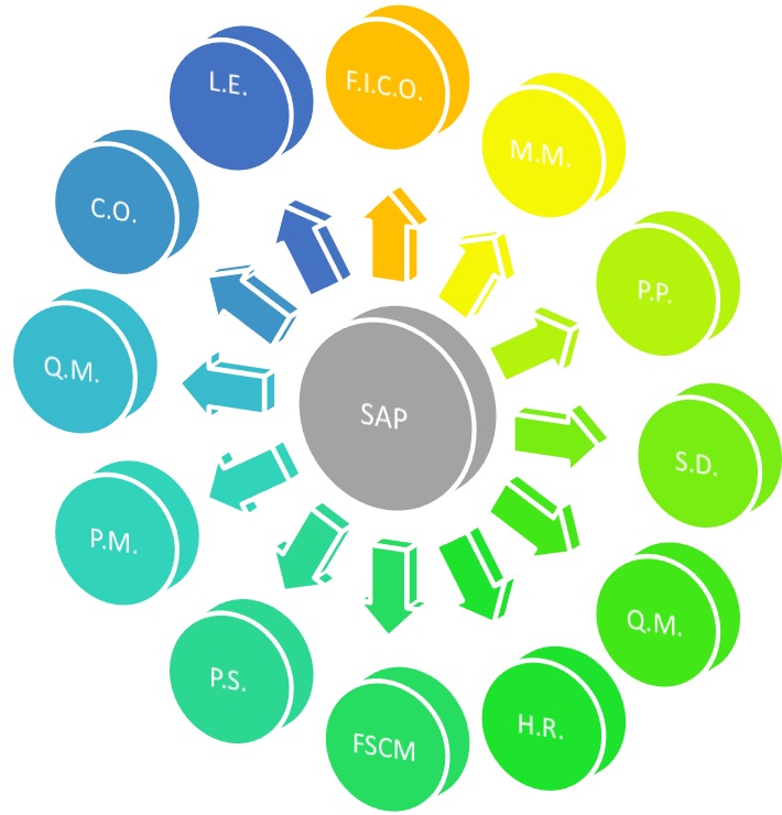 SAP functional modules